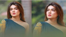 রাজনীতিতে নামলেন মাহি