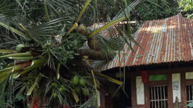 ঘূর্ণিঝড় সিত্রাংয়ের আঘাতে বরিশালে ৩ হাজারের বেশি ঘরবাড়ি ক্ষতিগ্রস্ত