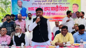 শেখ হাসিনার শাসনামলে দেশের মানুষ নিরাপদে রয়েছে: এমপি শাওন