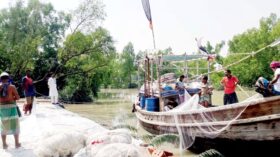 ২২ দিনের নিষেধাজ্ঞা শেষে জাল নিয়ে সাগরে ছুটছে জেলেরা