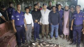 হিজলায় মজুদকৃত মা ইলিশ আটক,মাদ্রাসা ও দুস্তদের মাঝে বিতরণ