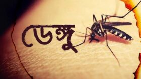 ডেঙ্গুতে আরও ৫ জনের মৃত্যু, হাসপাতালে ভর্তি ৪৪০