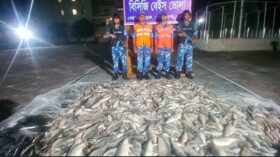 ভোলায় নিষেধাজ্ঞার শেষ দিনেও ১২০০ কেজি ইলিশ জব্দ, ৩১ জেলে আটক
