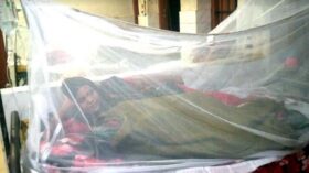 কলাপাড়ায় ৬ ডেঙ্গু রোগী সনাক্ত