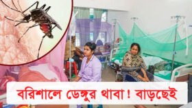 বরিশালে ডেঙ্গুর থাবা : বাড়ছে রোগীর সংখ্যা