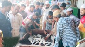 মেঘনায় ঝাঁকে ঝাঁকে ইলিশ পেয়ে উৎসবে মেতেছেন জেলেরা