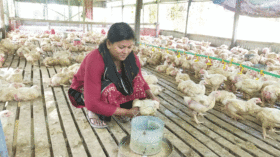 বাউফলে জিন্নাতের মাসিক আয় লাখ টাকা