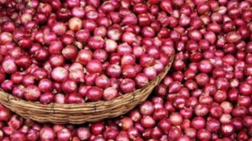 পা ফাটা দূর করবে পেঁয়াজ