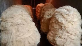 মন্দা বাজারেও স্বপ্ন দেখছেন ঝালকাঠির সেমাই ব্যবসায়ীরা