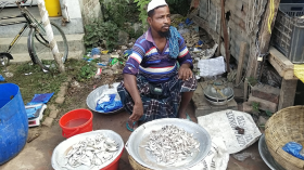 ১২৫ টাকায় ৯০টি ইলিশ!