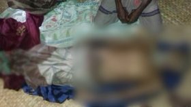 চরফ্যাশনে নারিকেল গাছ থেকে পড়ে বৃদ্ধের মৃত্যু