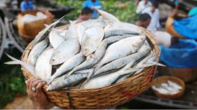 পহেলা বৈশাখে নেই ইলিশ বিক্রির জৌলুস