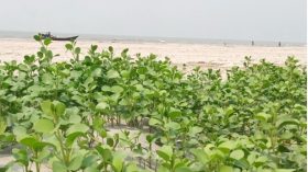 স্বরূপে ফিরেছে কুয়াকাটা