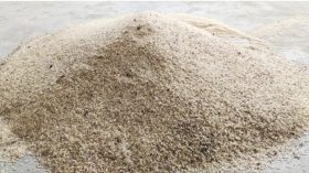 বরগুনায় ঈদ উপহারে পচা চাল!