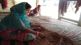 শীতলপাটিতে গ্রামীণ অর্থনীতির বদল