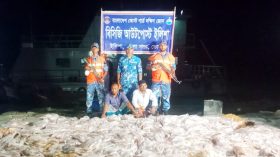 ভোলায় বিপুল ইলিশ জব্দ, আটক ২