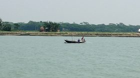 বাউফল আভয় আশ্রামের মধ্যে জাটকা ইলিশ শিকারে মহাউৎসব চলছে