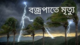 পাথরঘাটায় বজ্রপাতে কৃষকের মৃত্যু