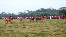 ঝালকাঠিতে ঐতিহ্যবাহী ঘোড়দৌড় প্রতিযোগিতা দেখলো হাজারো মানুষ