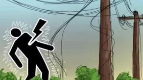 বরগুনায় ফুল গাছে পানি দিতে গিয়ে বিদ্যুতায়িত হয়ে তরুণের মৃত্যু