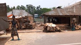 সড়কের পাশে অবৈধ করাতকল