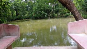 বাড়ির সামনে পুকুরে ভাসছিল শিশুর মরদেহ