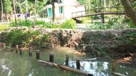 খালে বাঁধ দিয়ে আটকে রেখেছে প্রভাবশালী মহল, আমনের বীজতলা নিয়ে কৃষকদের শঙ্কা 