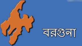 তালতলীতে সুন্দরবন থেকে ভেসে এলো মৃত হরিণ