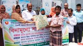 ঝালকাঠিতে বিনামূল্যে সার ও বীজ বিতরণ