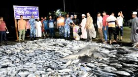 ভোলায় ট্রাকে মিলল ৪০ মণ মাছ, গেল এতিমখানা ও দুস্থদের ঘরে