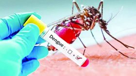 বরিশালে বাড়ছে ডেঙ্গু আক্রান্ত রোগীর সংখ্যা: হাসপাতালে ভর্তি ৪৬ জন