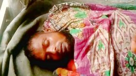 তালতলীতে পায়রা নদীতে ডুবে জেলের মৃত্যু