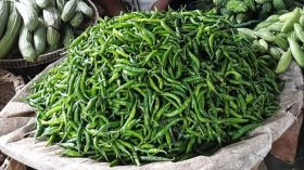 ঝালকাঠিতে একটি কাঁচা মরিচের দাম আড়াই টাকা