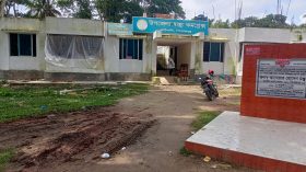 কাউখালীতে ডেঙ্গু রোগীর সংখ্যা বাড়ছে