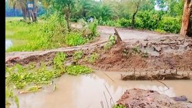 কাউখালীতে কালভার্ট ভেঙ্গে ফেলায় দুর্ভোগ পোহাতে হচ্ছে এলাকাবাসীর