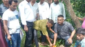 নলছিটিতে বজ্রপাত ঠেকাতে তালের বীজ রোপণ