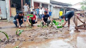 ঝালকাঠিতে সড়কে কচুগাছ লাগিয়ে অভিনব প্রতিবাদ