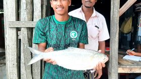 এক ইলিশের দাম সাড়ে ৭ হাজার টাকা
