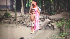 নির্মাণের সাত দিনের মাথায় ভেঙে পড়লো কালভার্ট