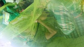 পিরোজপুরে ডেঙ্গুর প্রকোপ বাড়লেও নেই কোনো পদক্ষেপ