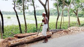 আজিজ মল্লিকের চেষ্টায় টিকে আছে তালের ডিঙি