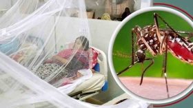 দক্ষিণাঞ্চলে ডেঙ্গুর ভয়াবহ রূপ