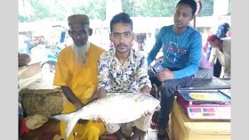 এক ইলিশের দাম ৯ হাজার টাকা!