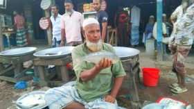 পায়রা নদীর তাজা ইলিশ ঘাটেই বিক্রি