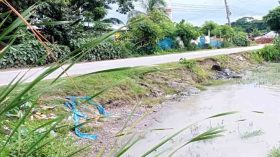 সুগন্ধার ভাঙ্গনে হুমকির মুখে নলছিটি-দপদপিয়া সড়ক