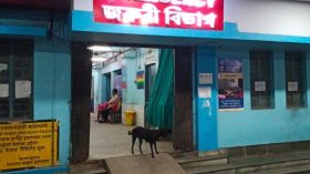 হাসপাতালে মৃতের রক্ত চেটে খাচ্ছে কুকুর!