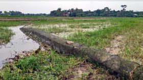 কলাপাড়ায় ম্যাজিক জালে’র ব্যবহার বেড়েছে: হুমকির মুুখে জলজপ্রাণিসহ প্রকৃতি