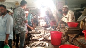 বরগুনায় রাতে ইলিশের দামে কিছুটা স্বস্তি