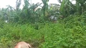 বরগুনায় গর্ভবতী গাভী চুরি করে জবাই, থানায় অভিযোগ