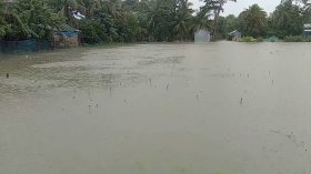 কলাপাড়ায় বছরের সর্বোচ্চ বৃষ্টির রেকর্ড